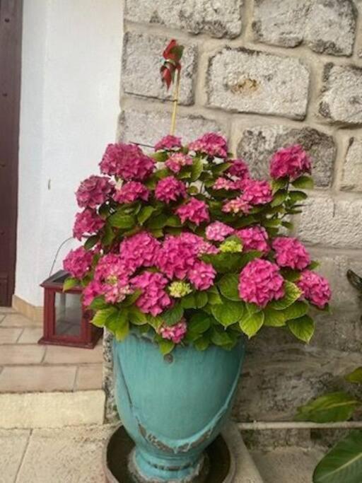 Charmant Appart Avec Jardin Aigues-Mortes Bagian luar foto