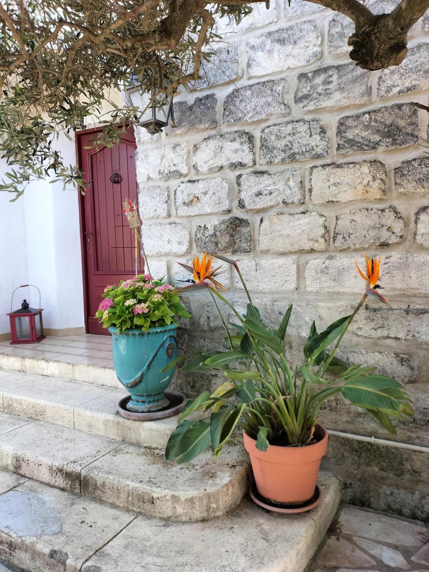 Charmant Appart Avec Jardin Aigues-Mortes Bagian luar foto